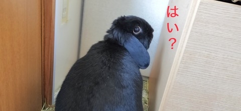 2D79593C-6C54-4BC4-89EE-FC3F814B377E