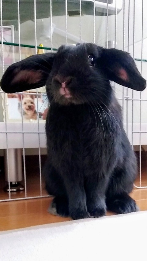 1617D355-FB28-44AE-BFDF-5C60AD836DC4