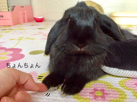 B8983EE3-0B49-421D-B5BD-7088843D1079