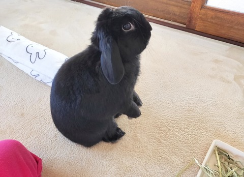 7120C89D-AC65-45BF-8859-29E3BECED1C6