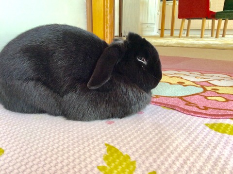 9FEF0B14-620F-4E09-B6E0-493EF9315721