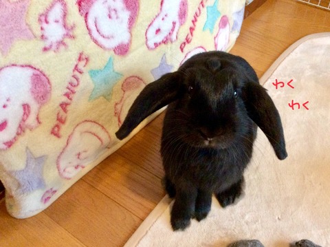 36B452B7-D2A7-4C7D-8CB9-CE211D799F56