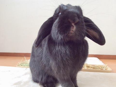 C8F68B68-CE40-47D1-8122-5A38BA9928EE