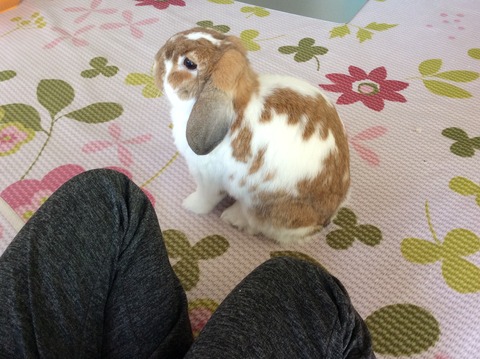 AC899AE7-FD13-4AEB-ACBE-A242DF1E0A65