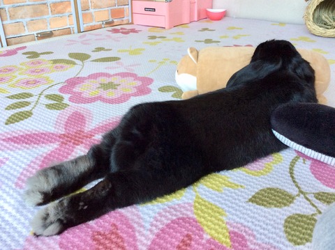 481D20BB-6A16-43A9-BA91-670E8B3D0F34