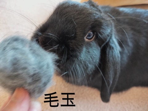 92CFAE50-80B0-4A19-BE85-8F614F4D9425