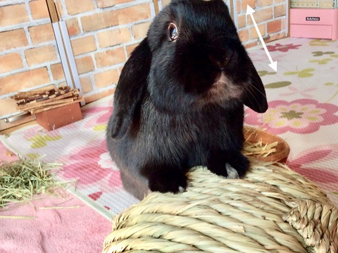 A6294025-FB7C-4869-B99F-CD8FE95BD2FB