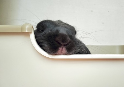 6042E099-217A-49AF-95CC-69C615C01AC3