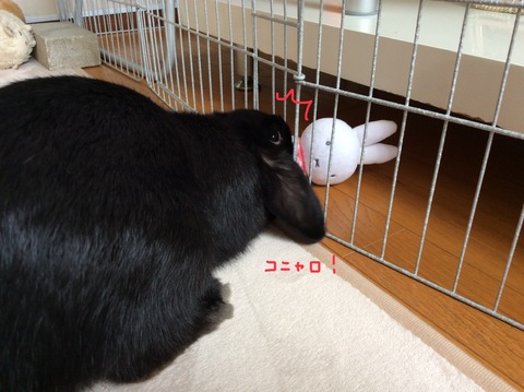 A13D1F28-0EDE-4207-97F7-39C260406F36