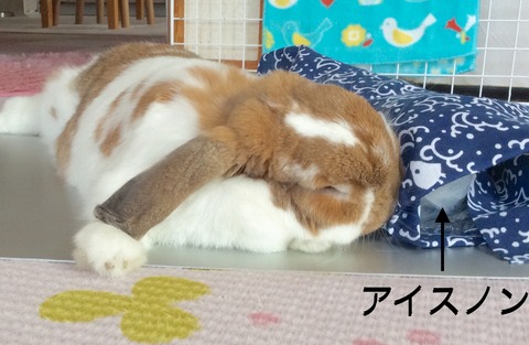 9488065D-1AD3-4C85-8A24-088DAABA443E