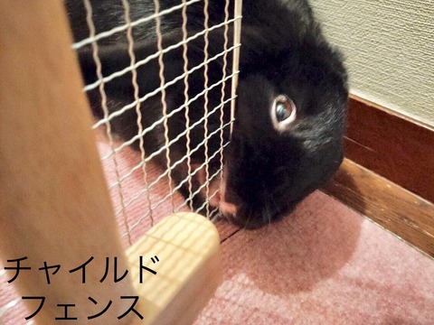 9FB6C844-CB52-4689-A431-FB59B194265A