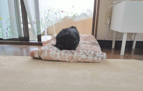 73CFE601-DB43-4CDC-A910-EEC820C2638D