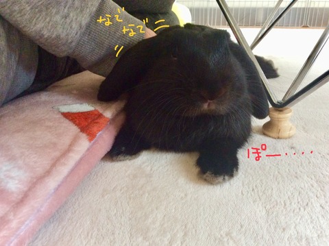 D046A1BF-DC37-4DB8-89C7-865092459A8F