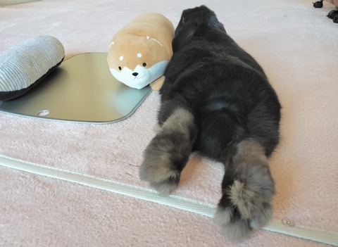 616B886E-3879-4561-AD8F-61EBBEEABB3A