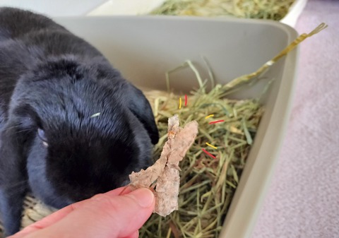 40F6842A-CD16-41A3-9525-E1AB57A3CD1D