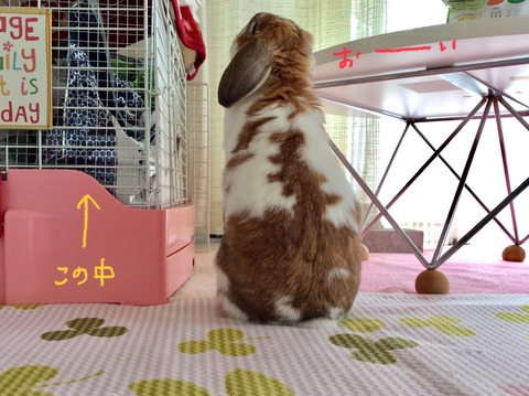 44B9C277-8795-4524-88A4-7642572E7A54