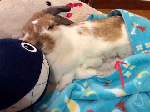 A2D49125-9607-43CC-952E-49C31010E83B