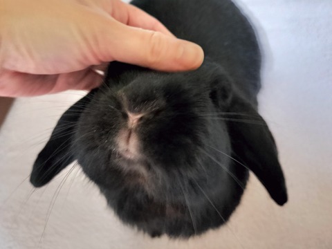 6D516A98-319B-463C-8D7C-E0BA256AB17B