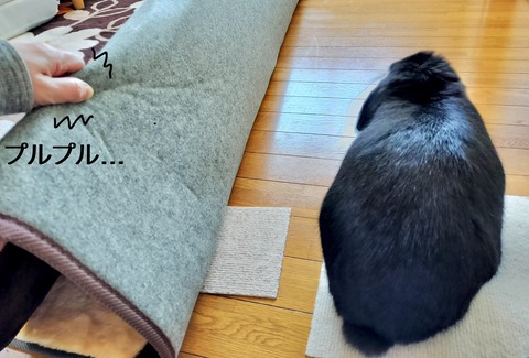 4C0772C7-AA6E-4491-BAC5-FA77262097D5