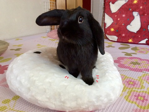 EA7F84E5-CDEA-4FE8-87A0-55EF697C94A6