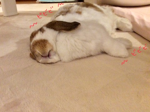 2AAB624F-9652-43CE-AD3C-CA73A84D8B61