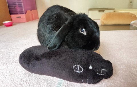 8C7F9A28-59E6-4A15-A177-A5955B63C1C8