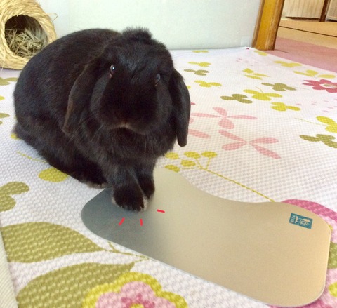 3831BAEF-CA61-4416-ACEA-C1E60489AE3F