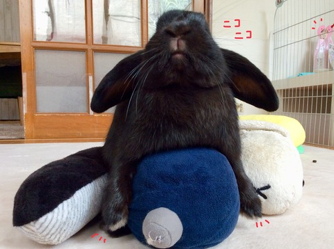 B75D0CF2-10FB-4093-8587-390FF9FBAA47