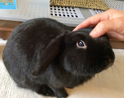 2A783DB3-8190-4793-9A17-7B1DD50CA20C