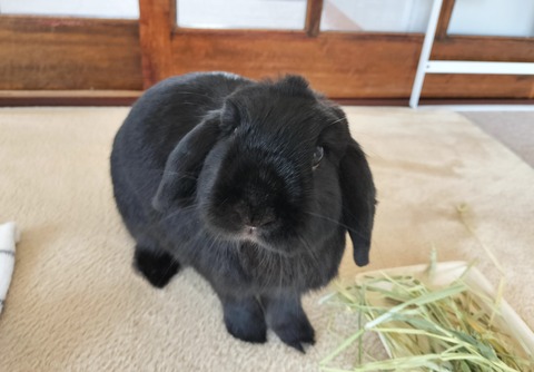 85583358-9AF0-44F2-9410-4C78F50CA8EC