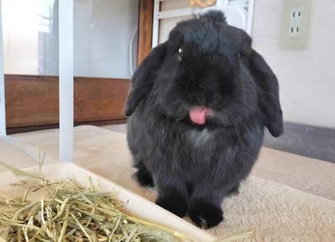 415E5763-298E-472B-BB37-DB3D47289F90