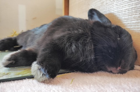 B4414A3C-41CF-43CD-8A2D-5AC4D7527B97