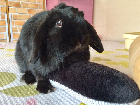 481AAED9-07A2-4914-AEC0-5E58E7C0B5BF