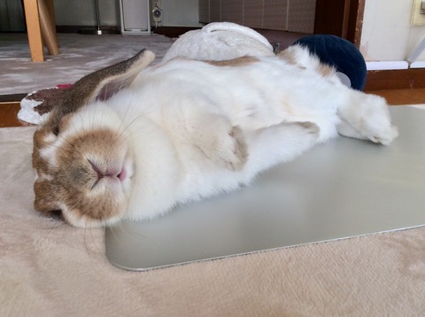 FAEA96E0-2CD7-430C-9F4A-73E3F7AE716C