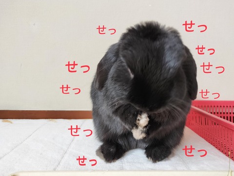 DF29142A-480A-4378-B27A-26981DC51DCA