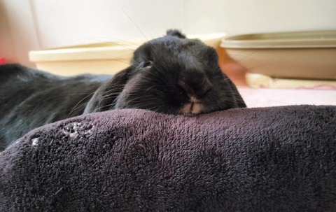 5769C94E-F200-41EE-AD9A-3E61F27D8EF4