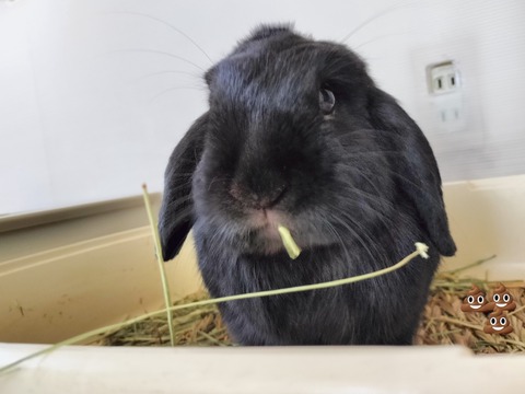 000A1257-DF7F-4B04-BE14-018EB6F716FB