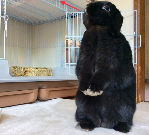 9D02E3BE-8F53-4A52-A73A-FE5AF53E2005