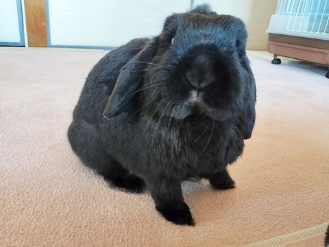 B3F19050-94E4-4AE0-8549-F8349CFF8CD9