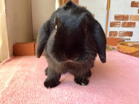 C467ADEB-259B-439C-B2BF-8BAE56C22840