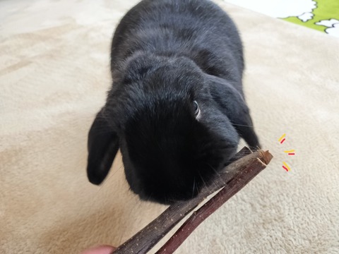 34FB226E-207B-47A2-8F9E-C99EB0A6CD2A