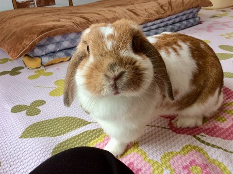 0CF0E6CF-B9F9-446B-9451-C0DBD4FDED55