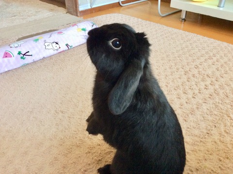 C1A3010A-42B8-421E-BC59-EB8B3DC5C9C1