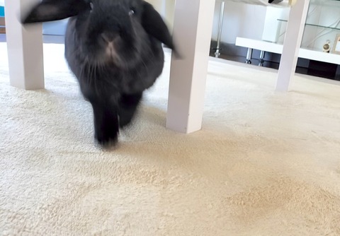 3CF1CD26-5F95-4579-B329-D6F78CF7D8BA