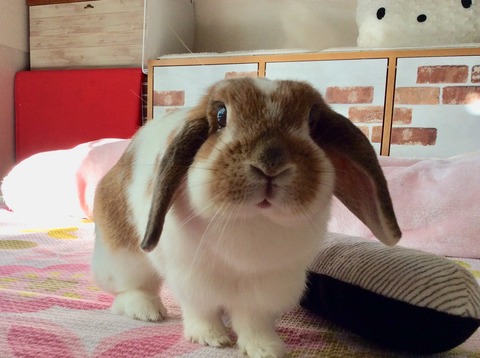 2E82D066-2CB3-46D1-AD64-17342AFB9457