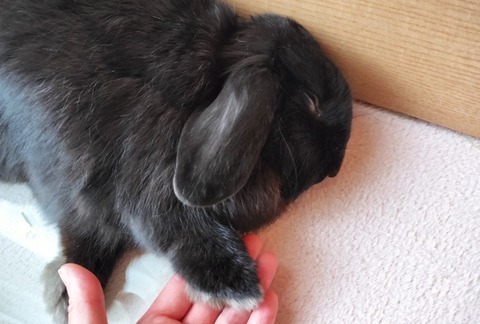 801F5F6C-EF09-47B2-9A96-D724CF6AB071