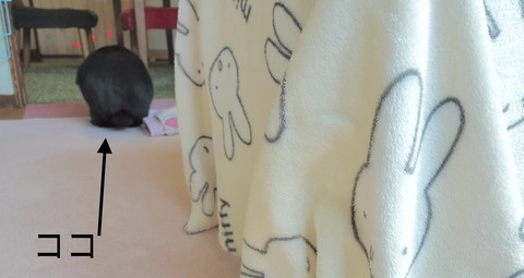 55B05810-8BF5-4A66-8405-D8735E66F909