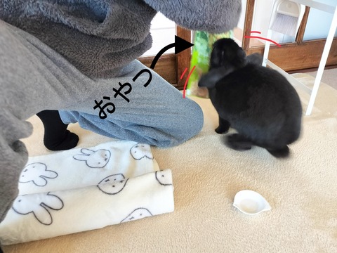 08413381-1865-4FE4-9BD3-6270242A8AE6