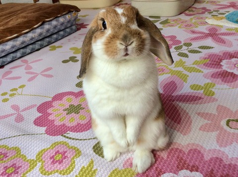 BA92346D-571C-4A6C-8470-C3568044E88F