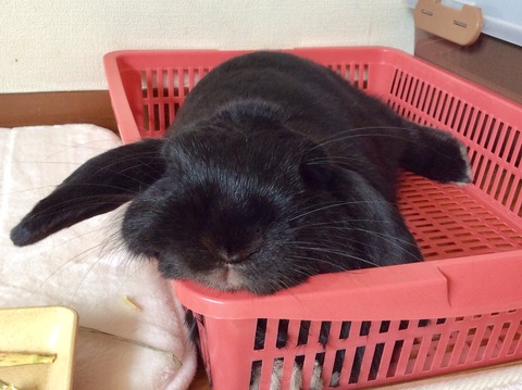 BC25C9B3-58E4-448C-AF5E-8F7DAFB0794E